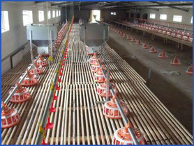 自動(dòng)喂料系統(tǒng)