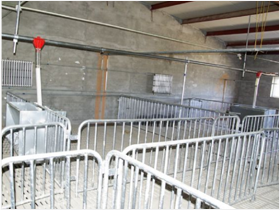 自動(dòng)喂料系統(tǒng)