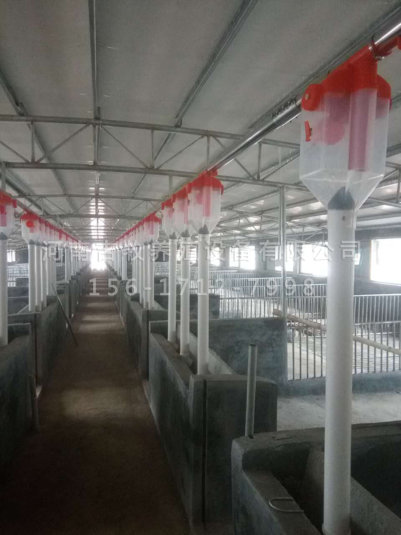 豬場供料系統(tǒng)