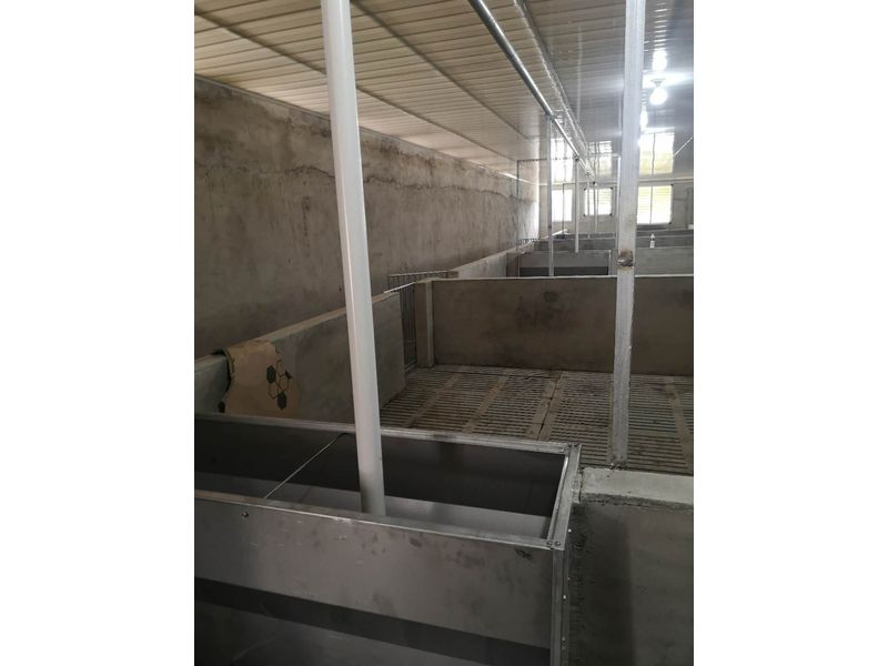 豬場自動(dòng)供料系統(tǒng) 